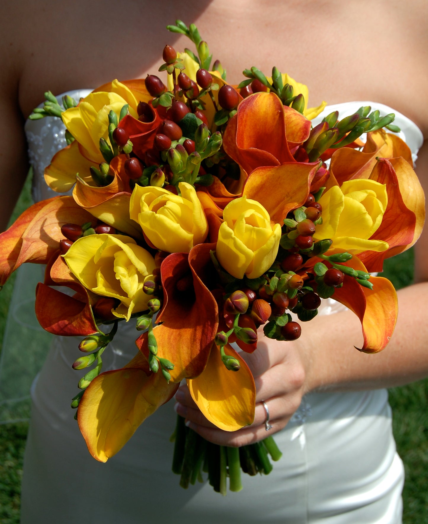 Calla Lily 'Flame' - 3/6-pack | Zantedeschia 'Flame'