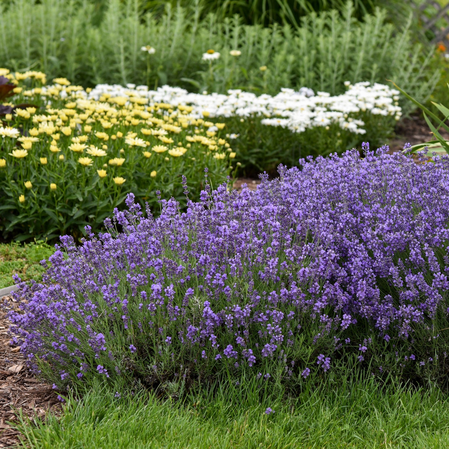 Credit: Walters Gardens, Inc